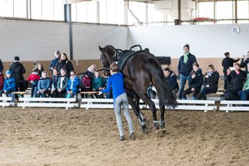 Bild 32 - Voltigierturnier